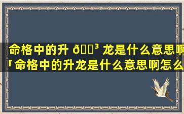 命格中的升 🐳 龙是什么意思啊「命格中的升龙是什么意思啊怎么解释」